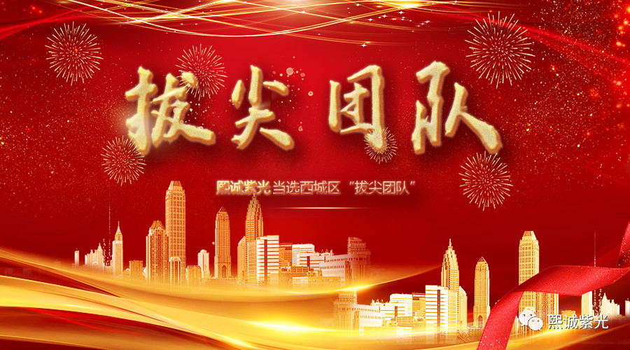 “拔尖团队”！就是熙诚紫光